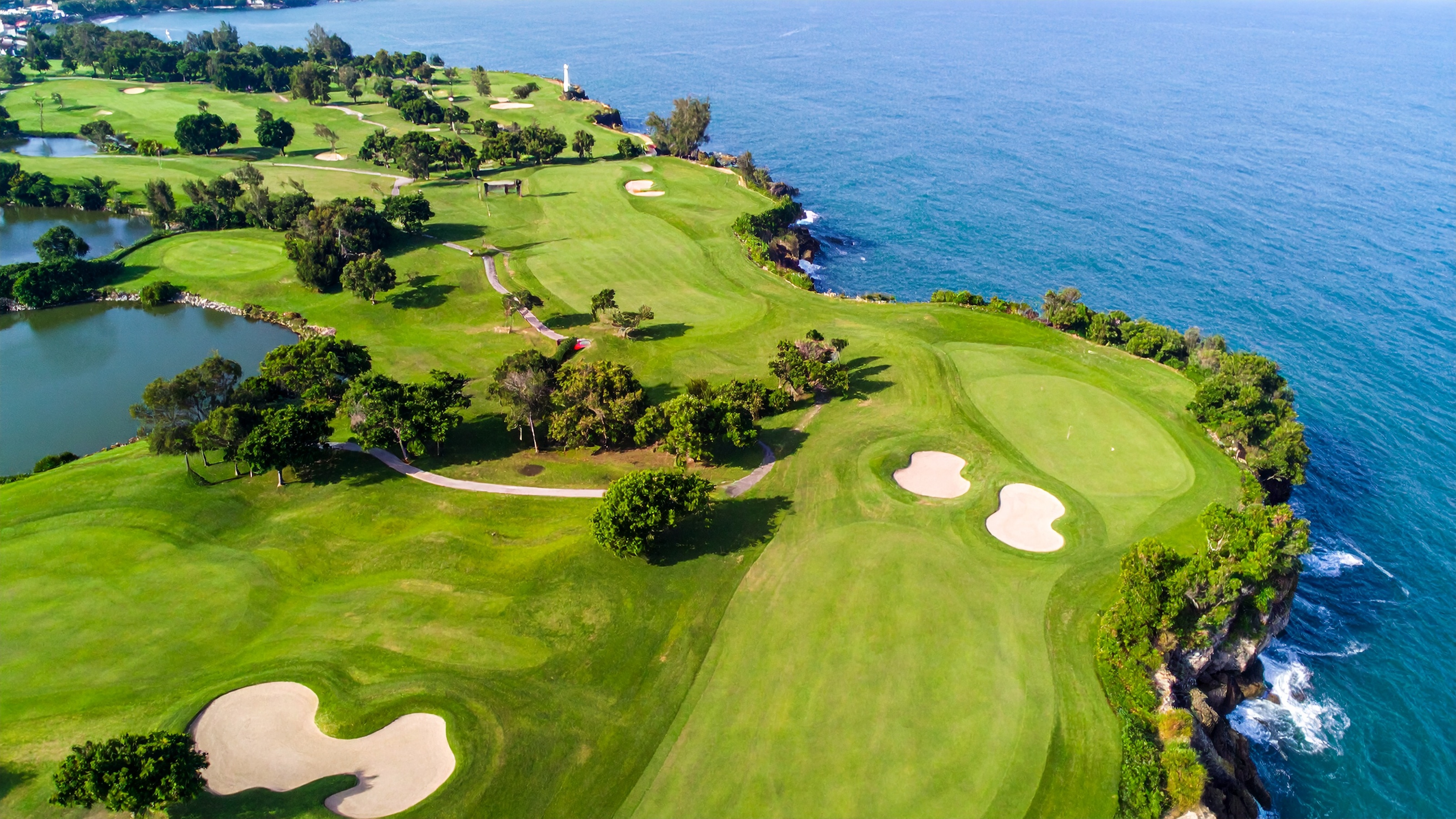 Dark green trees line the background with a summer-like blue sky and white clouds spreading
